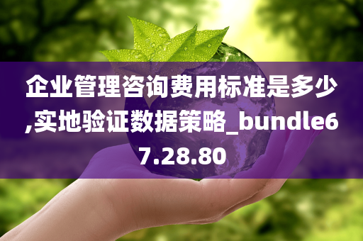 企业管理咨询费用标准是多少,实地验证数据策略_bundle67.28.80