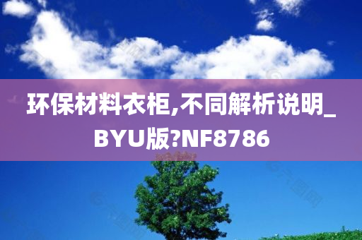 环保材料衣柜,不同解析说明_BYU版?NF8786