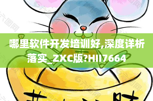 哪里软件开发培训好,深度详析落实_ZXC版?HII7664