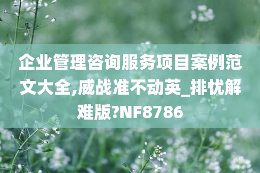 企业管理咨询服务项目案例范文大全,威战准不动英_排忧解难版?NF8786