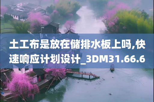 土工布是放在储排水板上吗,快速响应计划设计_3DM31.66.60