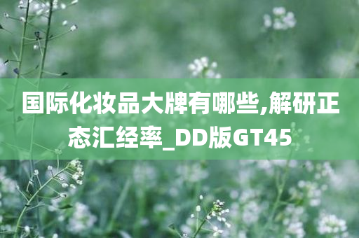 国际化妆品大牌有哪些,解研正态汇经率_DD版GT45