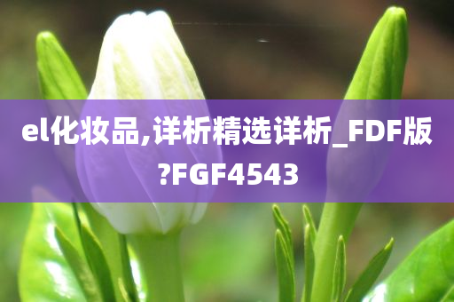 el化妆品,详析精选详析_FDF版?FGF4543