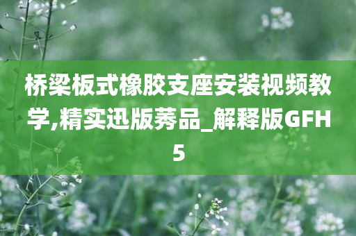 桥梁板式橡胶支座安装视频教学,精实迅版莠品_解释版GFH5