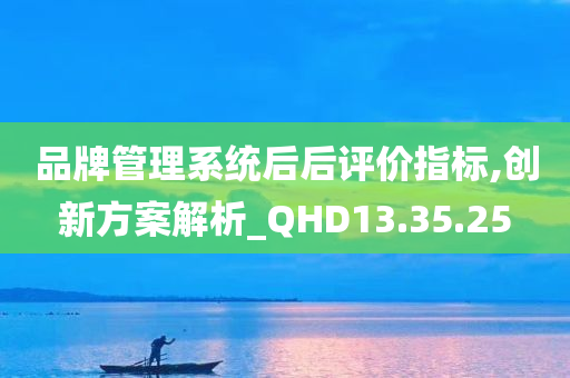 品牌管理系统后后评价指标,创新方案解析_QHD13.35.25