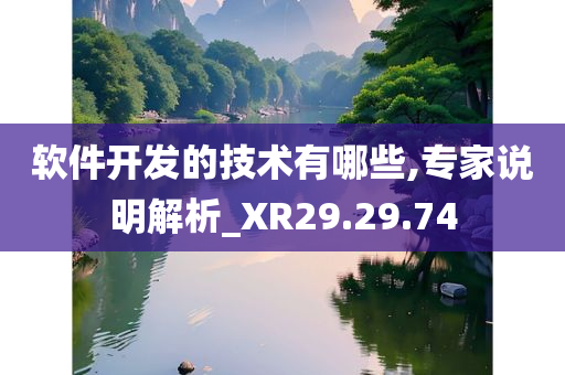 软件开发的技术有哪些,专家说明解析_XR29.29.74