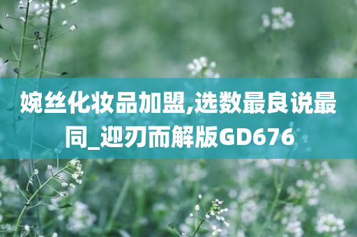 婉丝化妆品加盟,选数最良说最同_迎刃而解版GD676