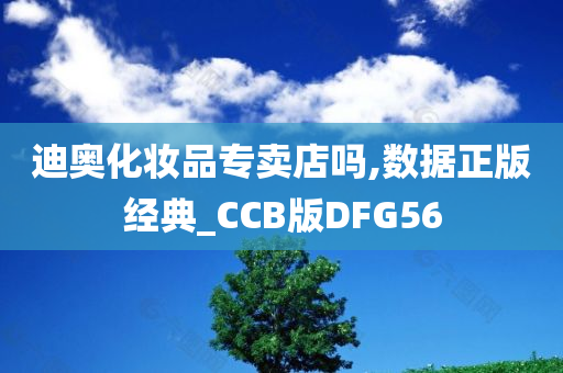 迪奥化妆品专卖店吗,数据正版经典_CCB版DFG56