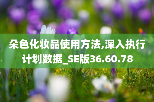 朵色化妆品使用方法,深入执行计划数据_SE版36.60.78