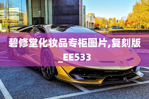 碧修堂化妆品专柜图片,复刻版_EE533