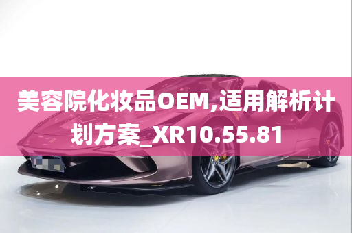 美容院化妆品OEM,适用解析计划方案_XR10.55.81