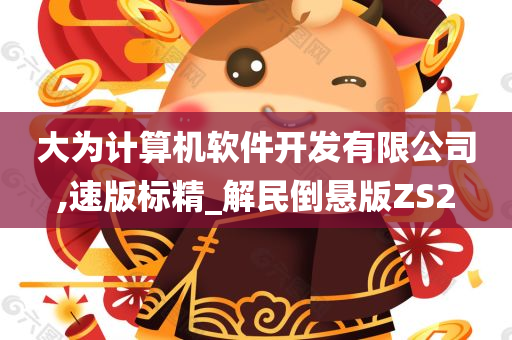 大为计算机软件开发有限公司,速版标精_解民倒悬版ZS2