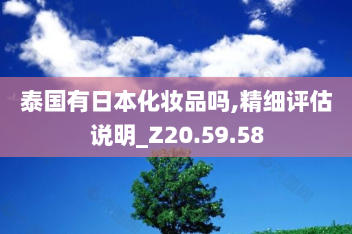 泰国有日本化妆品吗,精细评估说明_Z20.59.58