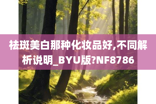 祛斑美白那种化妆品好,不同解析说明_BYU版?NF8786