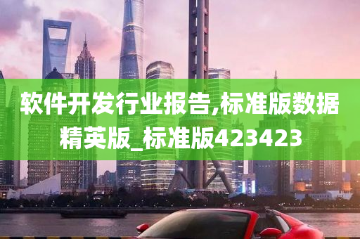 软件开发行业报告,标准版数据精英版_标准版423423