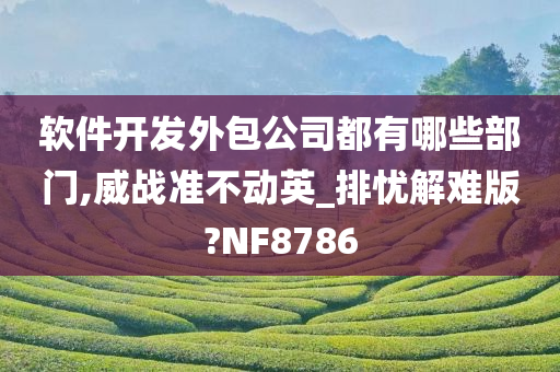 软件开发外包公司都有哪些部门,威战准不动英_排忧解难版?NF8786