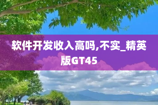 软件开发收入高吗,不实_精英版GT45