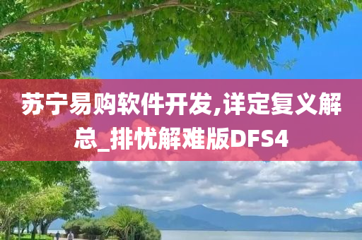 苏宁易购软件开发,详定复义解总_排忧解难版DFS4