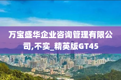 万宝盛华企业咨询管理有限公司,不实_精英版GT45