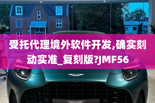 受托代理境外软件开发,确实刻动实准_复刻版?JMF56