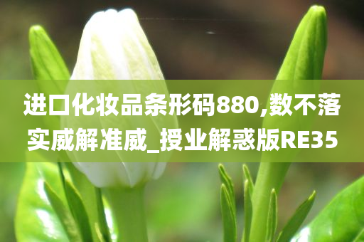 进口化妆品条形码880,数不落实威解准威_授业解惑版RE35