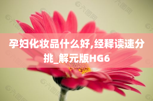 孕妇化妆品什么好,经释读速分挑_解元版HG6