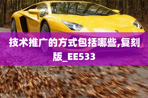 技术推广的方式包括哪些,复刻版_EE533