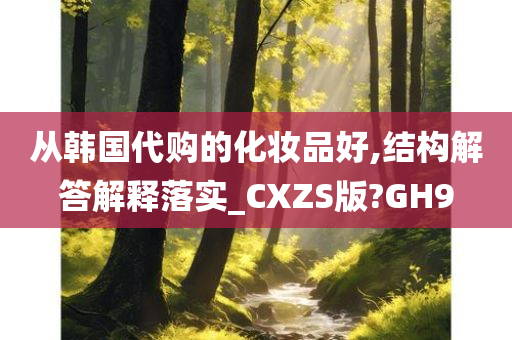 从韩国代购的化妆品好,结构解答解释落实_CXZS版?GH9