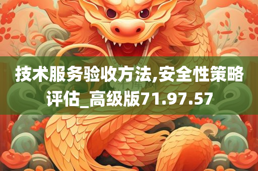 技术服务验收方法,安全性策略评估_高级版71.97.57