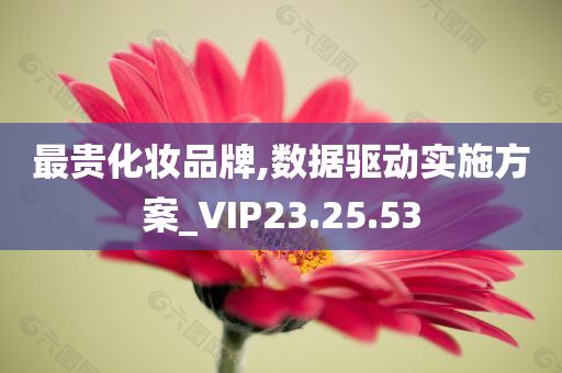 最贵化妆品牌,数据驱动实施方案_VIP23.25.53