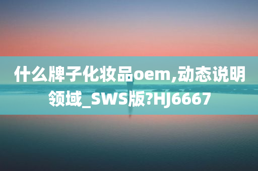 什么牌子化妆品oem,动态说明领域_SWS版?HJ6667