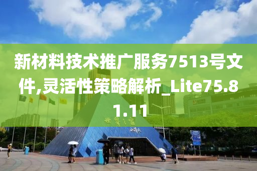 新材料技术推广服务7513号文件,灵活性策略解析_Lite75.81.11