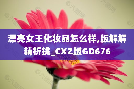 漂亮女王化妆品怎么样,版解解精析挑_CXZ版GD676