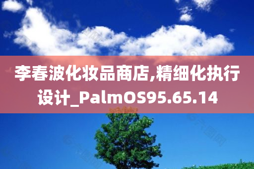 李春波化妆品商店,精细化执行设计_PalmOS95.65.14