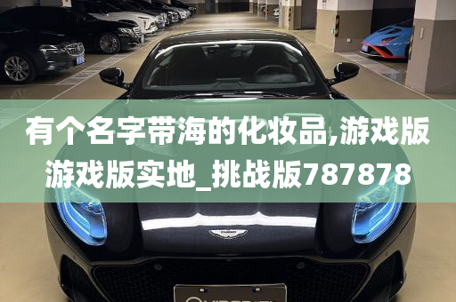 有个名字带海的化妆品,游戏版游戏版实地_挑战版787878