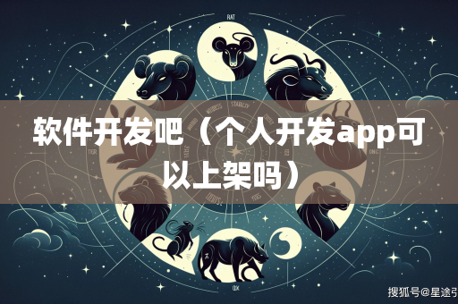 软件开发吧（个人开发app可以上架吗）