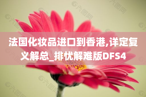 法国化妆品进口到香港,详定复义解总_排忧解难版DFS4