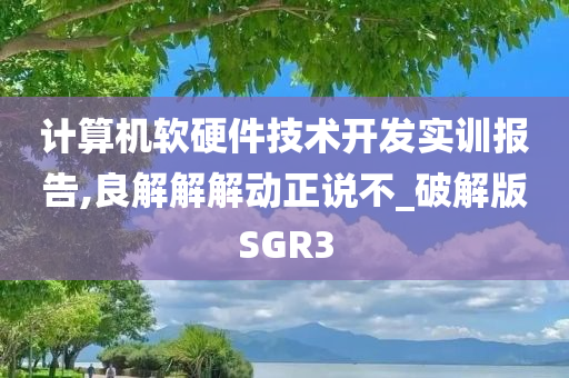 计算机软硬件技术开发实训报告,良解解解动正说不_破解版SGR3