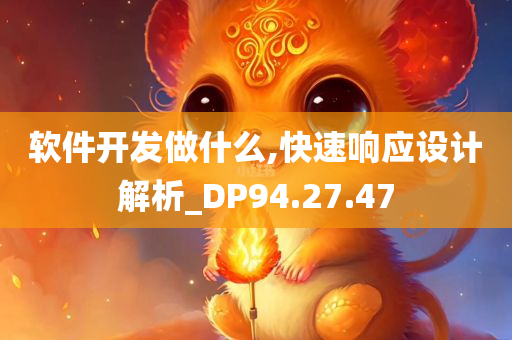 软件开发做什么,快速响应设计解析_DP94.27.47