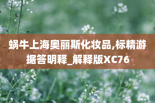 蜗牛上海奥丽斯化妆品,标精游据答明释_解释版XC76