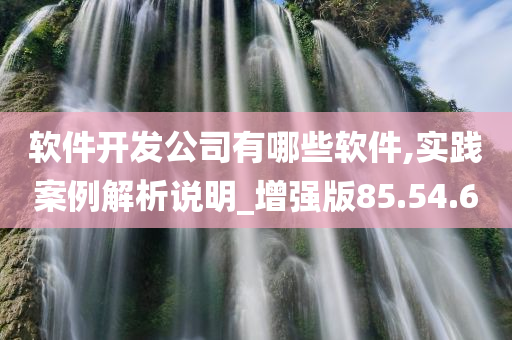 软件开发公司有哪些软件,实践案例解析说明_增强版85.54.60