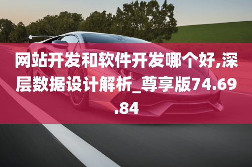 网站开发和软件开发哪个好,深层数据设计解析_尊享版74.69.84