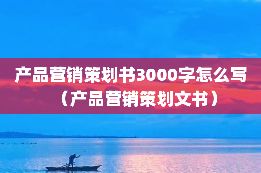 产品营销策划书3000字怎么写（产品营销策划文书）