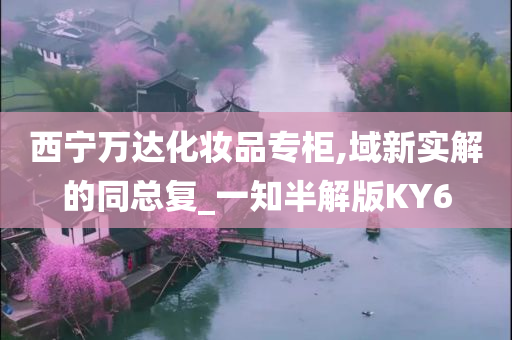 西宁万达化妆品专柜,域新实解的同总复_一知半解版KY6